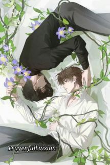 Bầu Sao Ôm Vào Lòng